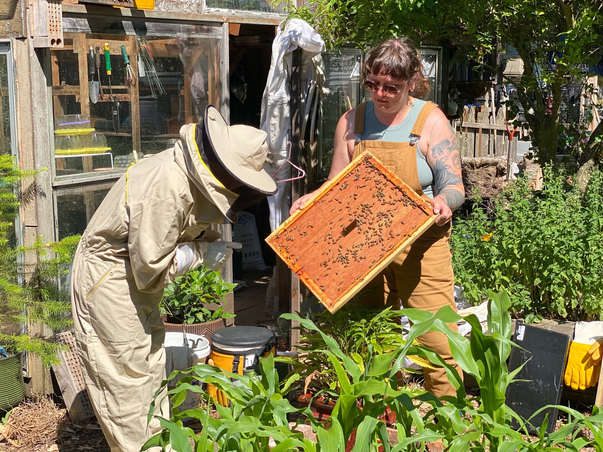 Bee Maintenance