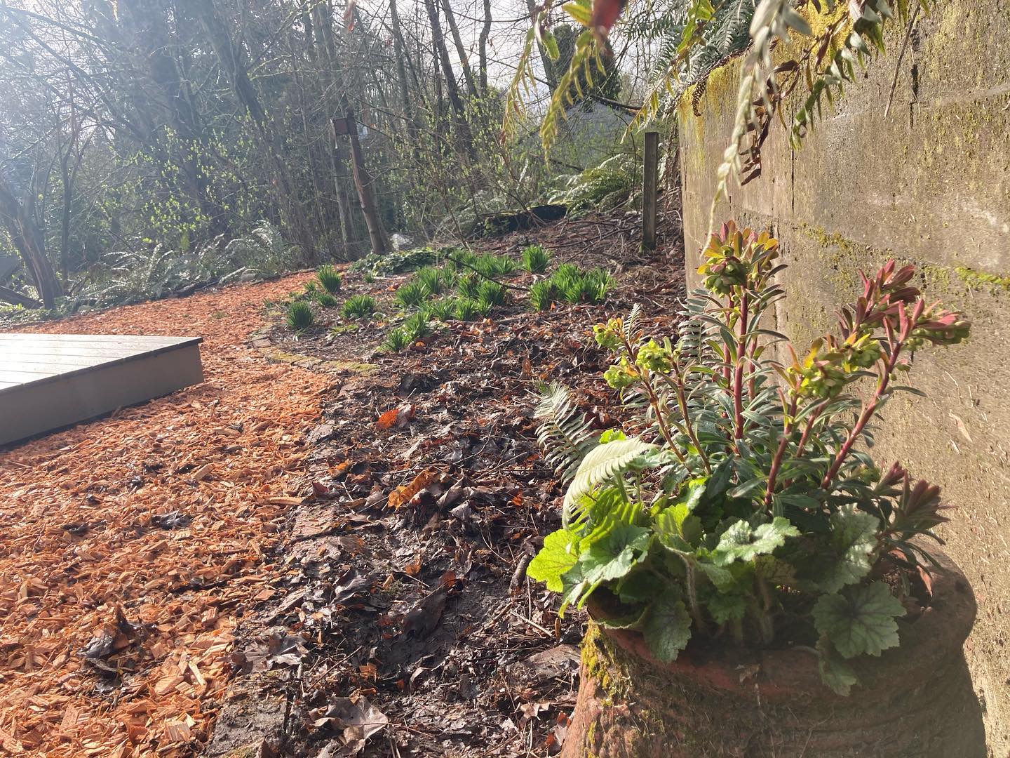 Garden Project